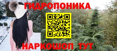 стафф Краснодар