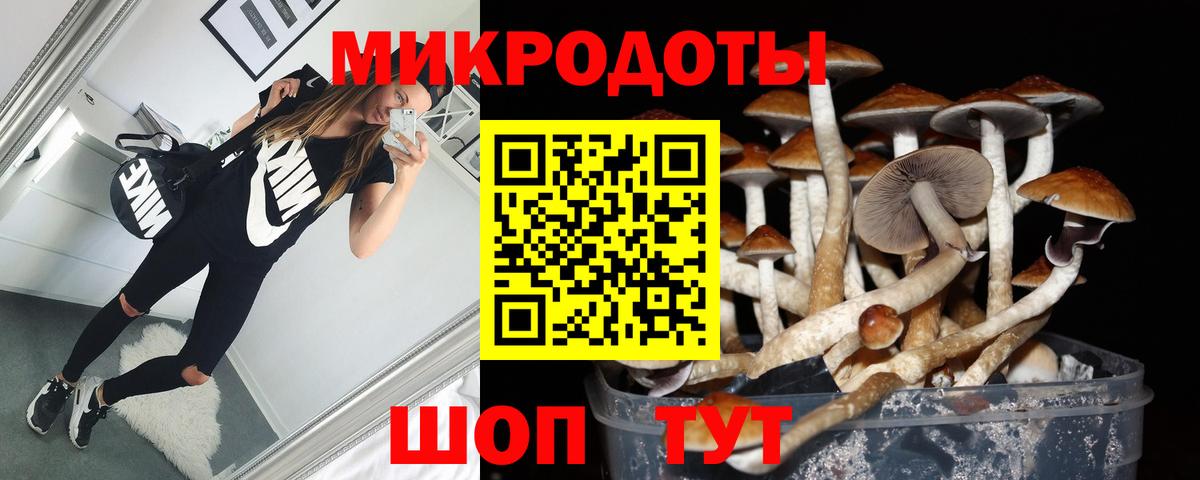 Галлюциногенные грибы прущие грибы Калач-на-Дону